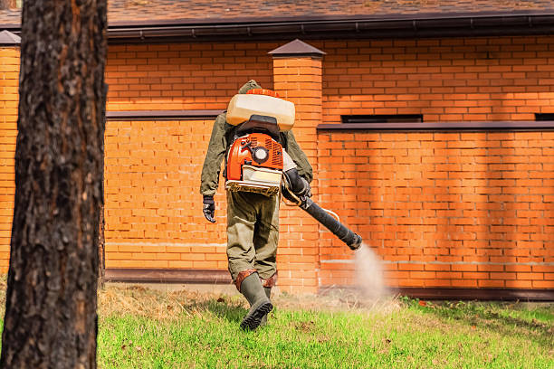 Cockroach Follow-Up and Monitoring in Echelon